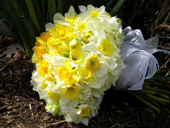 Hoa cưới tháng 3: Hoa cưới hoa thuỷ tiên vàng rực màu nắng